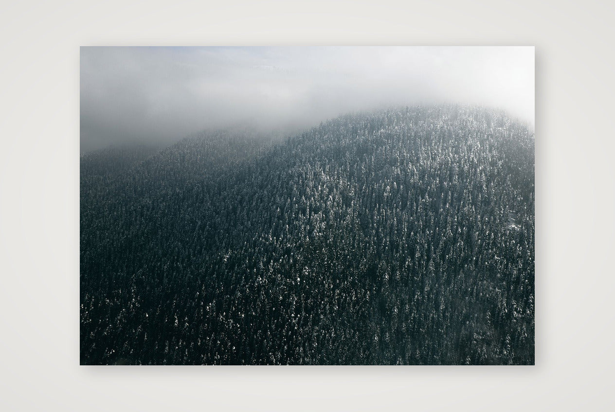 13 — 84×59cm, 33×23" Print only