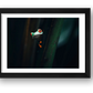 501 — framed