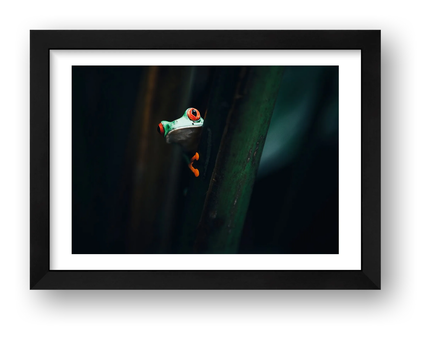 501 — framed
