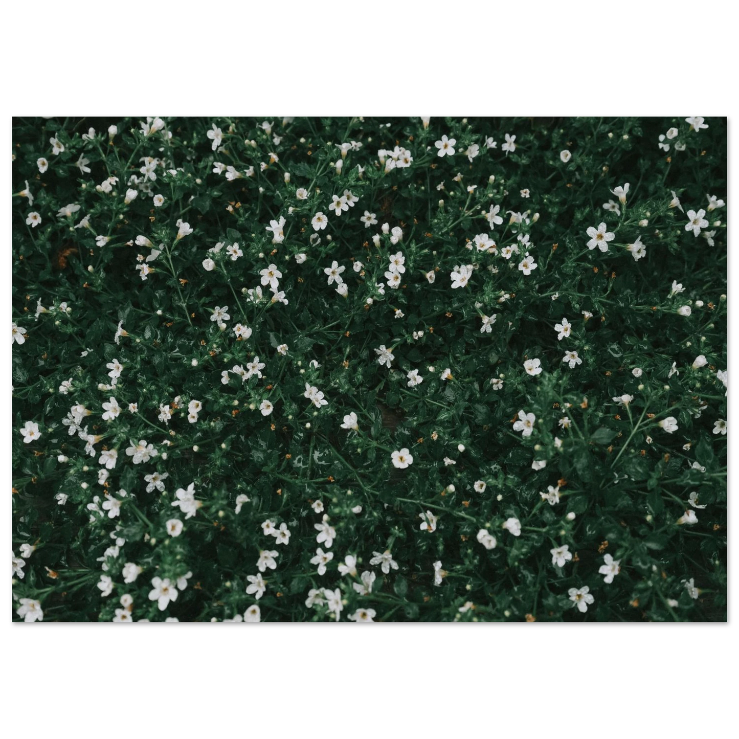 16656f2e-7e24-492d-9073-338915d6c1ab