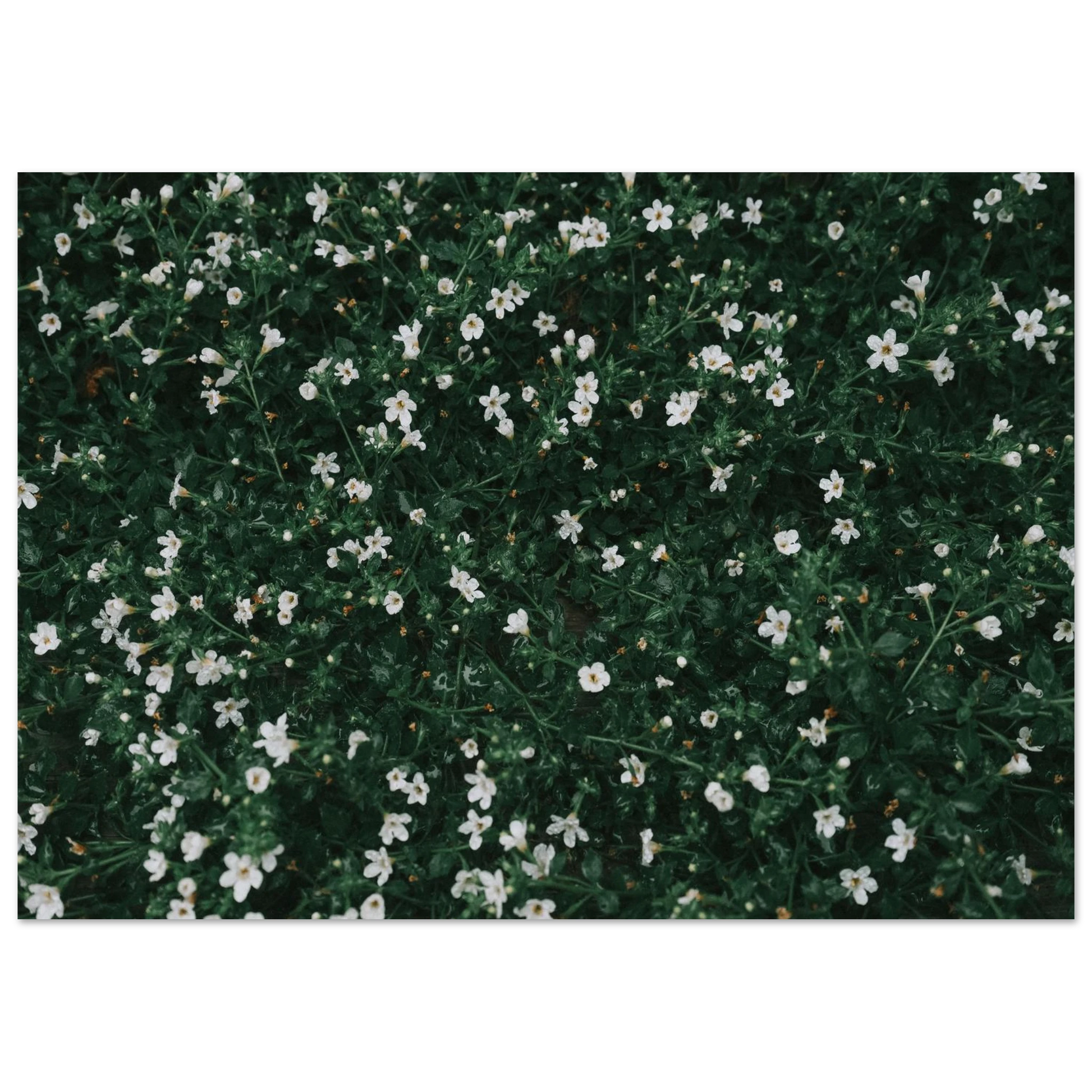16656f2e-7e24-492d-9073-338915d6c1ab