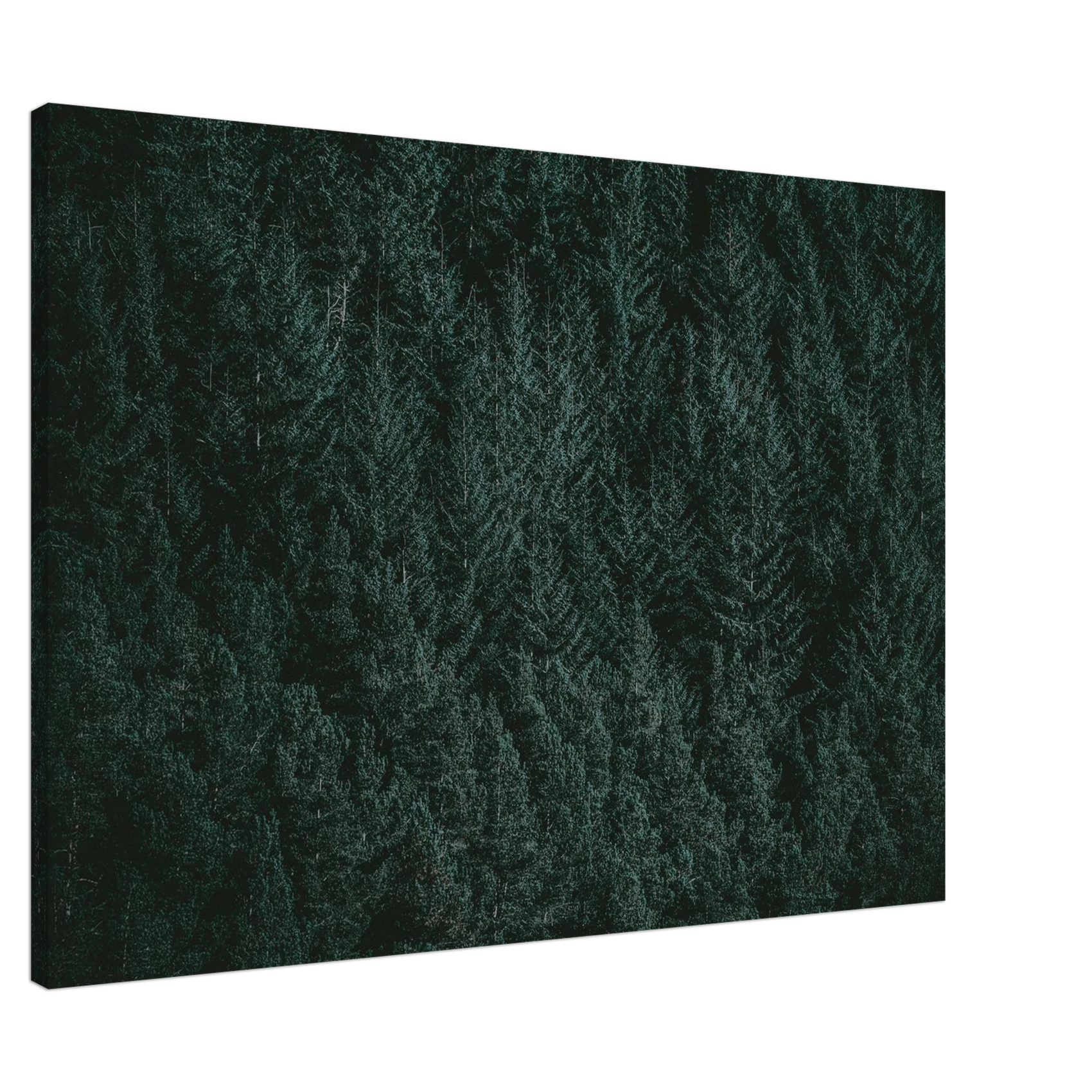 CANVAS - PD_Deep Forest Canopy Canvas Print - Lush Emerald Greens, Ready-to-Hang Wall Art