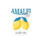 Lemon Sticker Gift For Fruit Lover Citrus Art Decal Present For Summer Fan Unique Aesthetic Item For Her Design Idea Accessory Item Idea