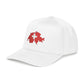 Switzerland Embroidered Hat Gift For Traveler Swiss Flag Baseball Cap Switzerland Souvenir Gift Travel Snapback Alpine Streetwear Gift Him
