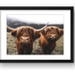20 — framed