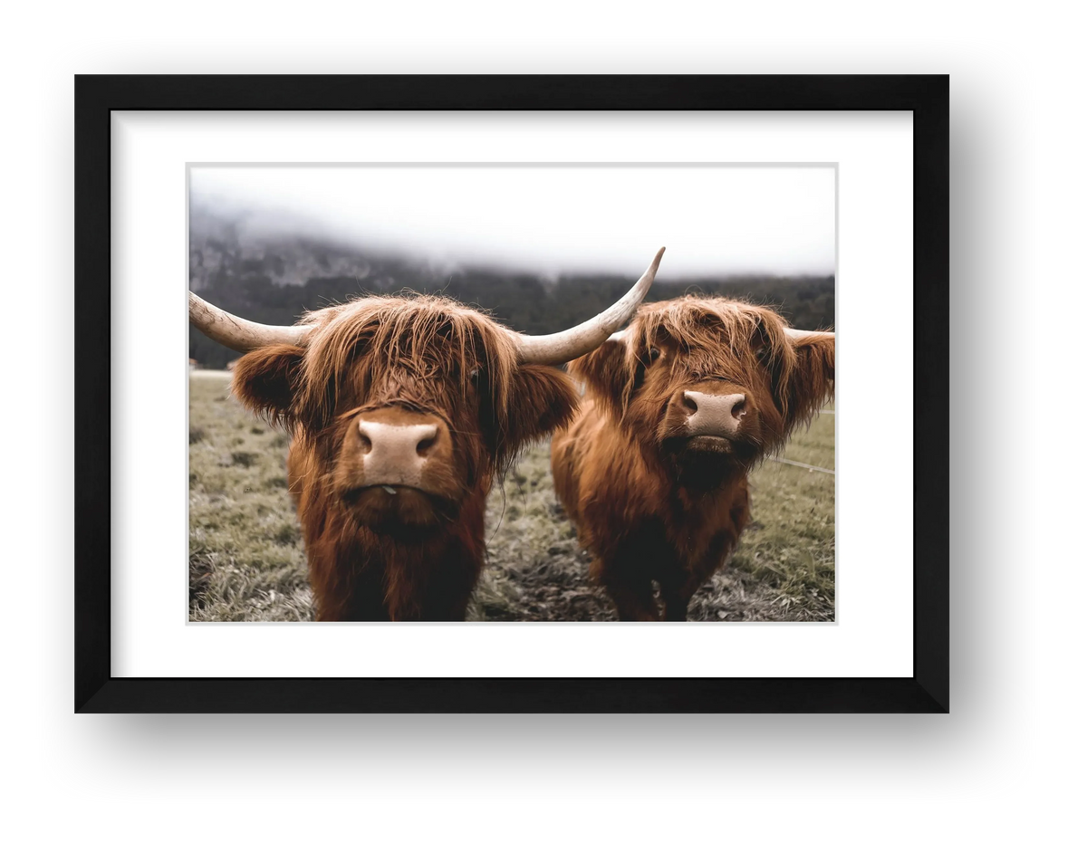 20 — framed