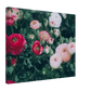 19b2b2d6-e02f-4cd3-8b29-461c2b30eb35