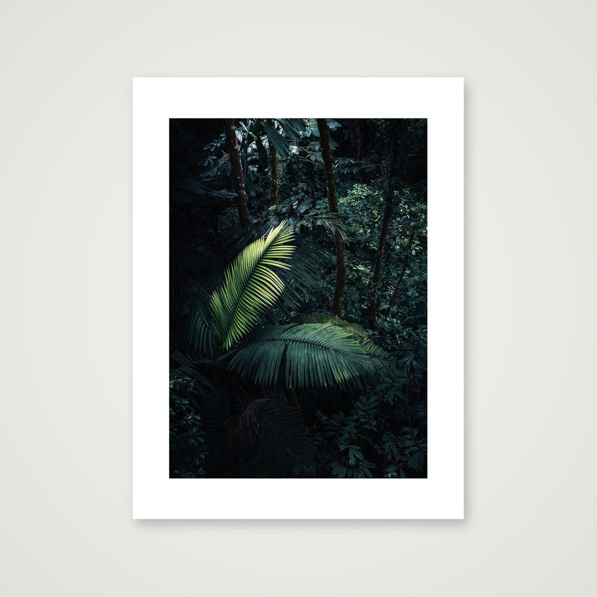 1218 — 60×80cm, 24×31" Print only