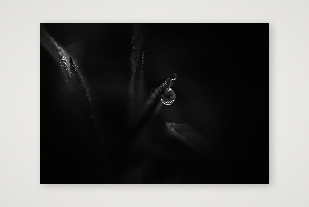 1867 — A4 (30×21cm, 12×8") Print only