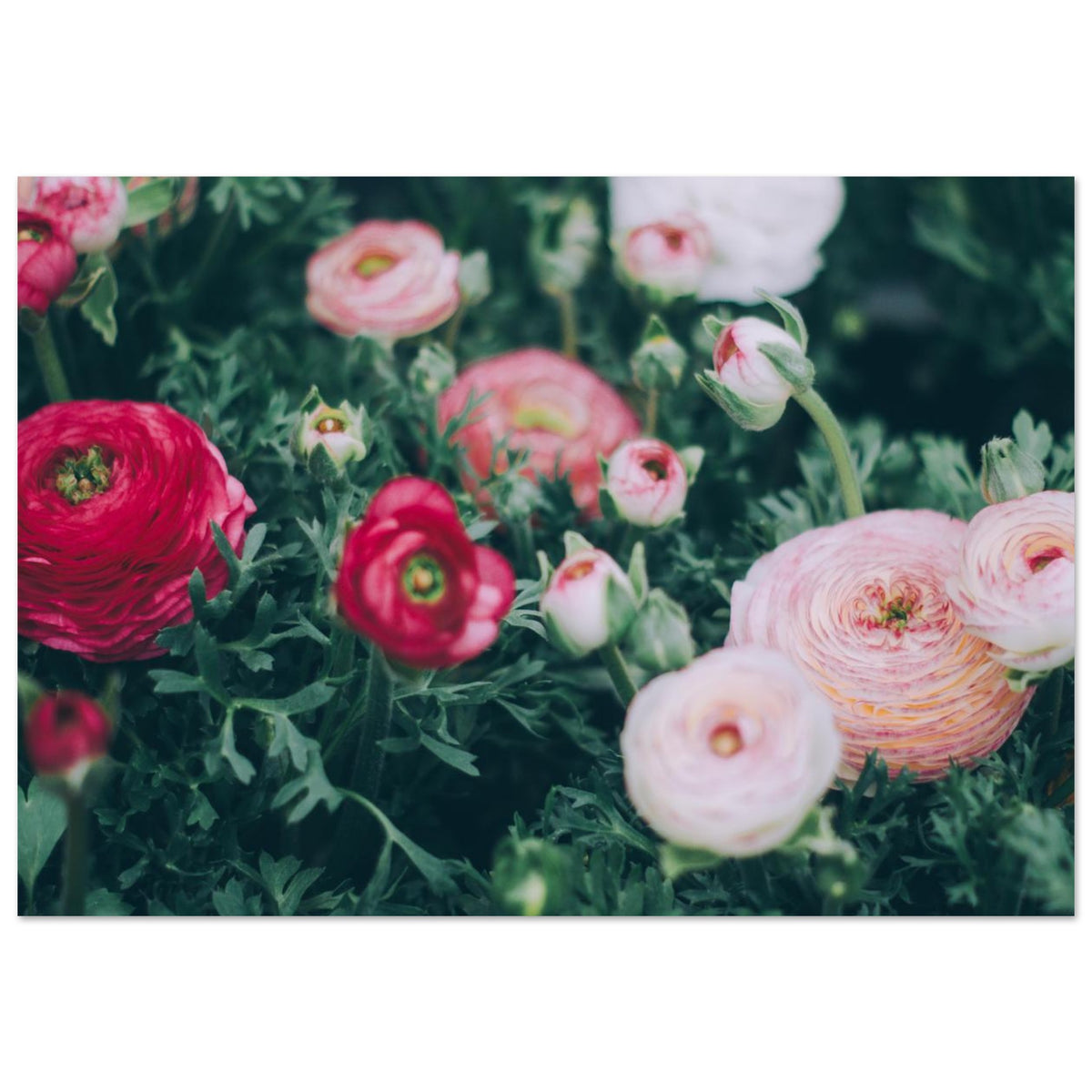1a444ae3-852a-40fd-88bc-04c6386c0140