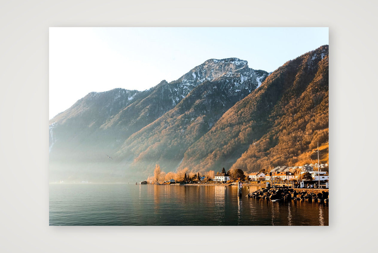 421 — 59×42cm, 23×17" Print only