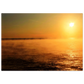 1c752645-41ce-424a-a7a9-b3ece7da3fb1