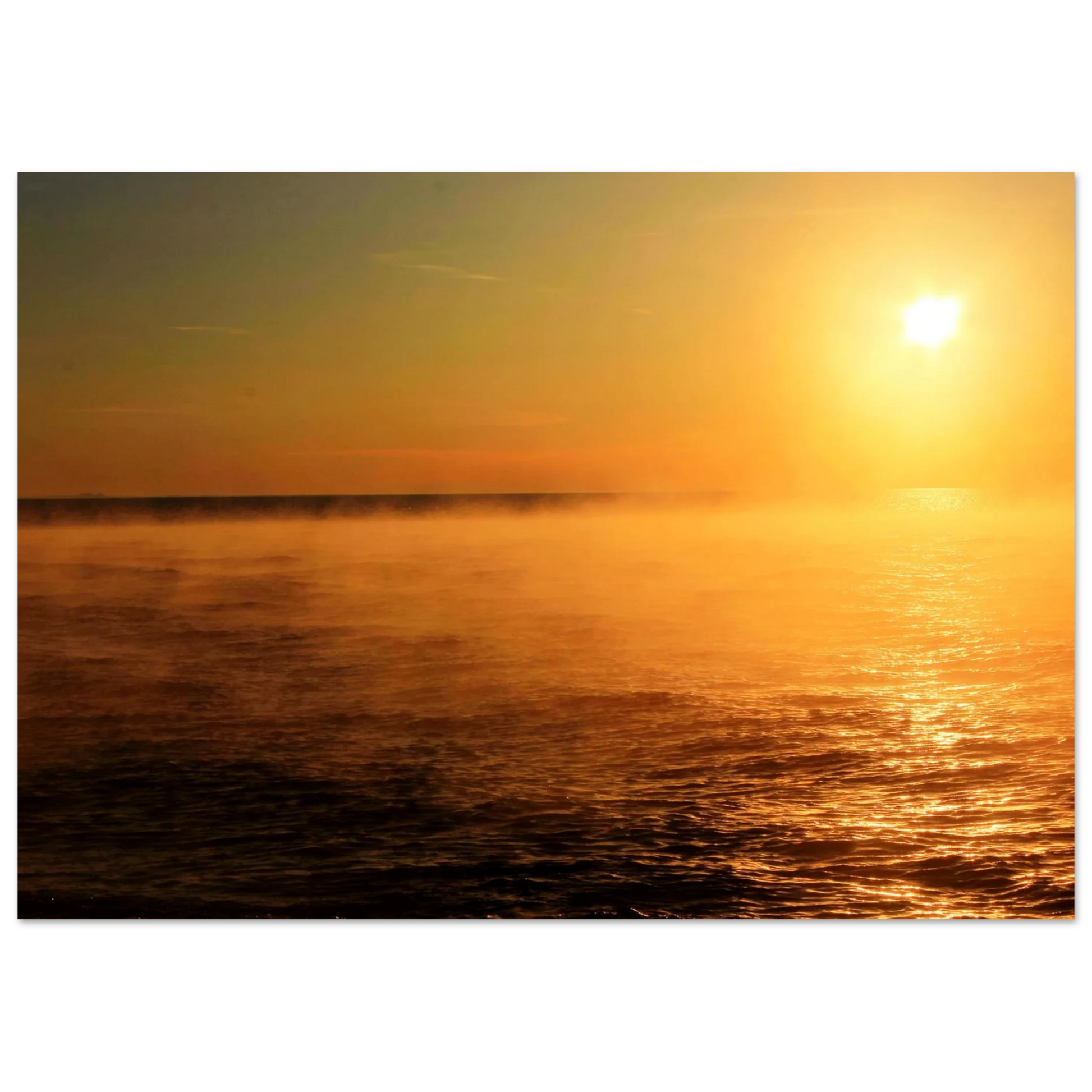 1c752645-41ce-424a-a7a9-b3ece7da3fb1