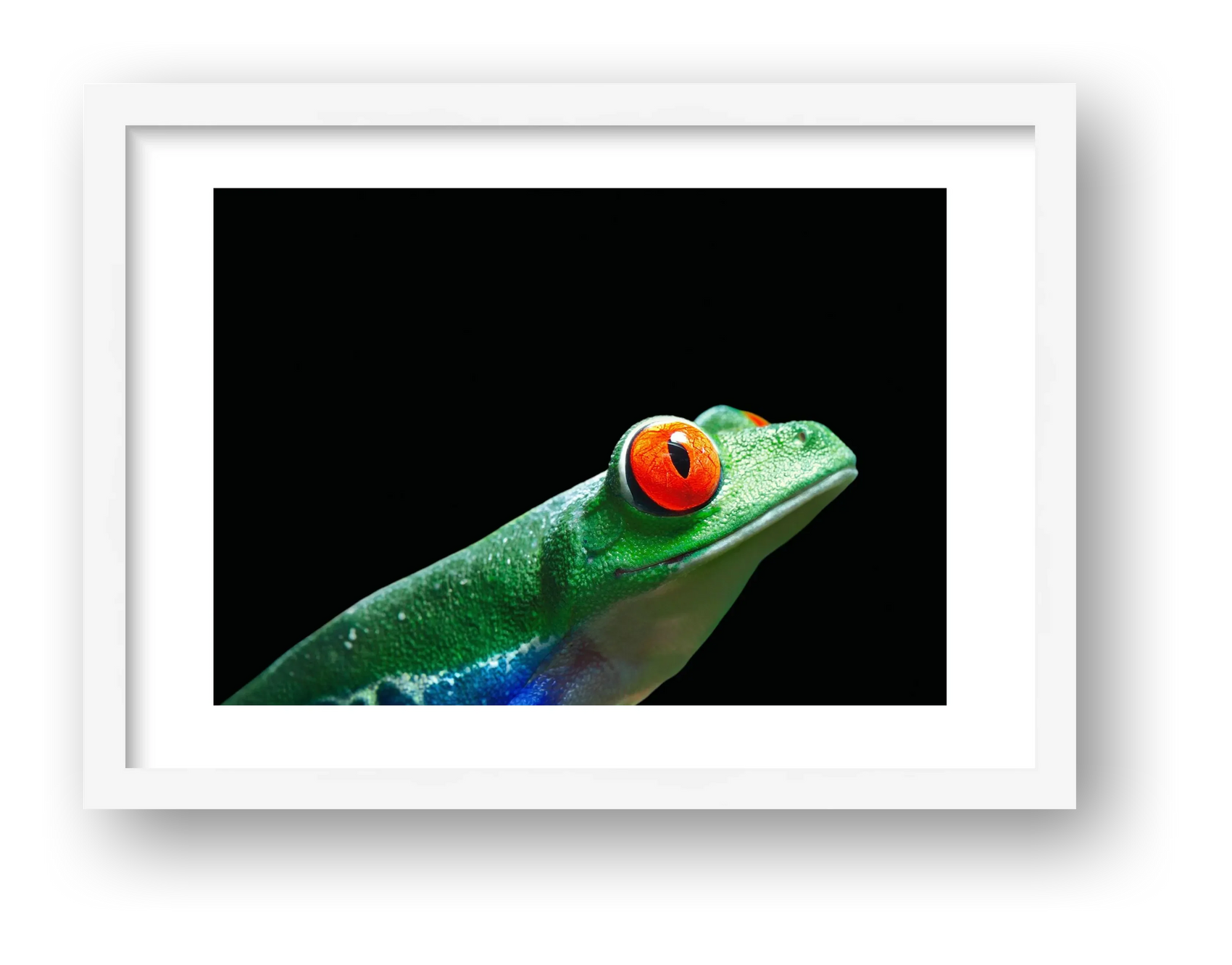 44 — framed