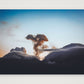495 — 84×59cm, 33×23" Print only