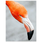 1d7ec37b-45bc-49a1-aeb0-a5a009f0de76