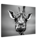 1d822888-4951-499e-a9a7-d0b9657715eb