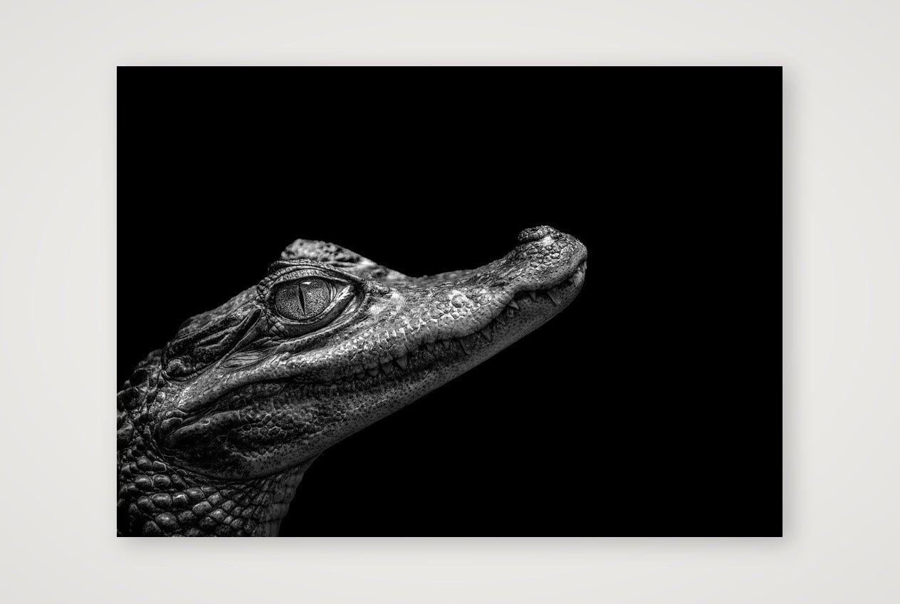 1872 — A4 (30×21cm, 12×8") Print only