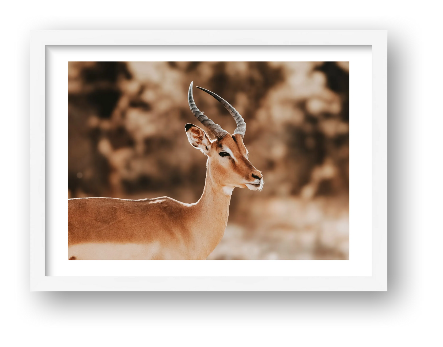 444 — framed