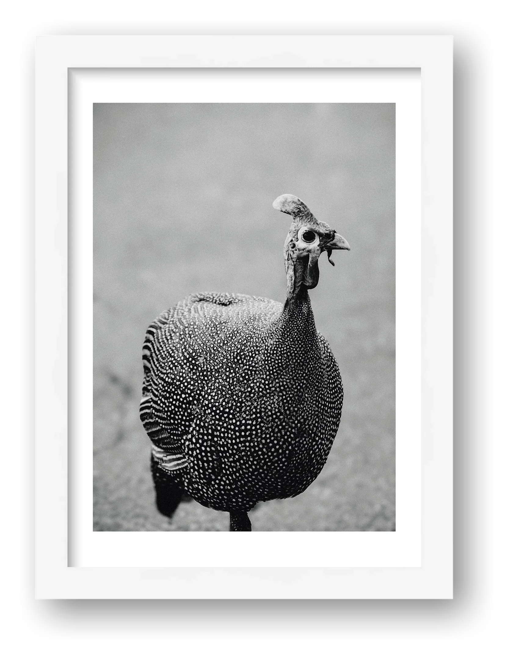 490 — framed