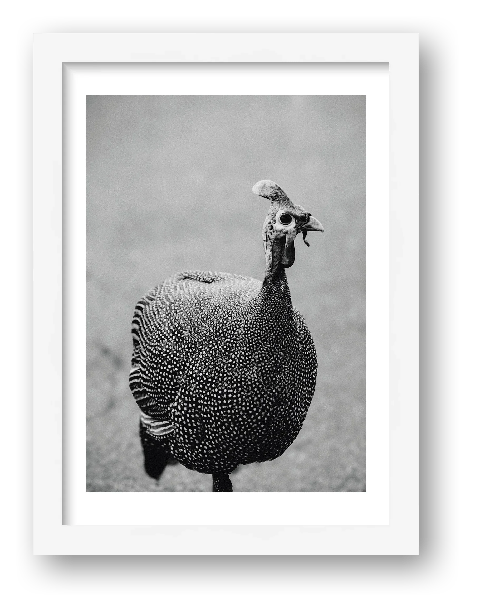 490 — framed