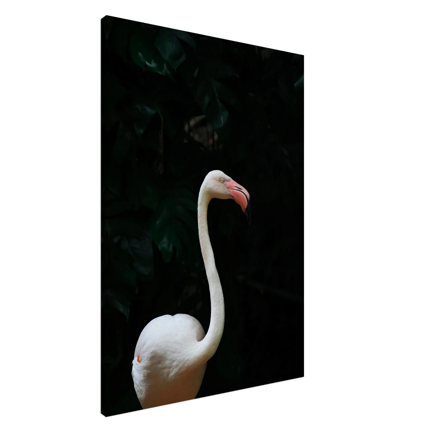1eb21118-9fa8-40ea-b6c9-7357b775527e