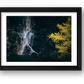 1309 — framed