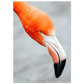 1f171a54-9a9d-4db3-9d07-9f80fa84964a