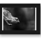 1851 — framed