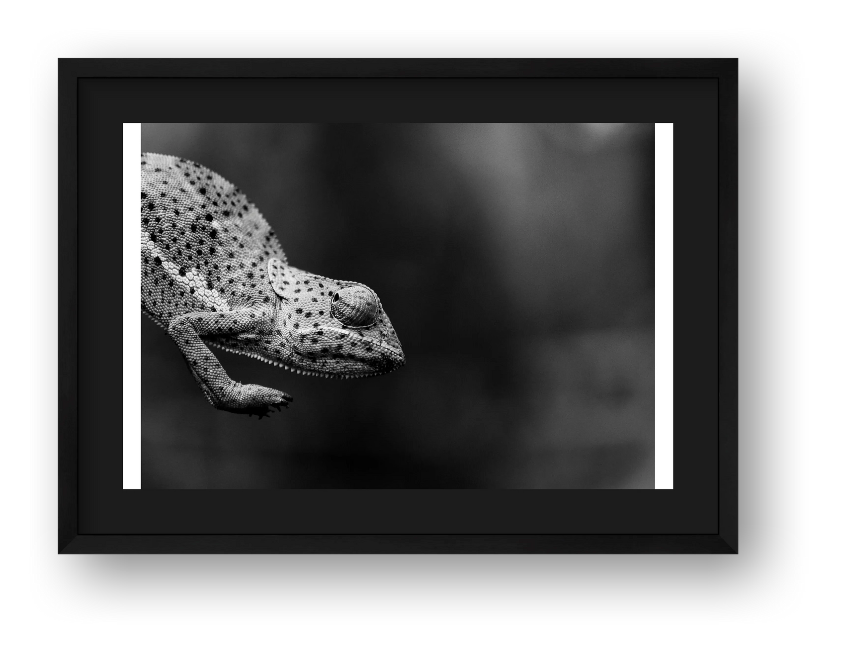 1851 — framed