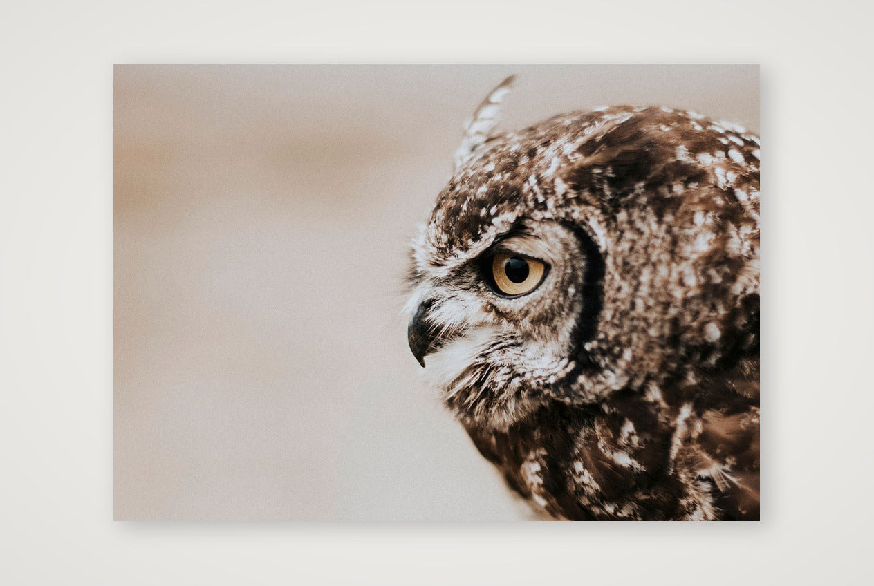 486 — A4 (30×21cm, 12×8") Print only
