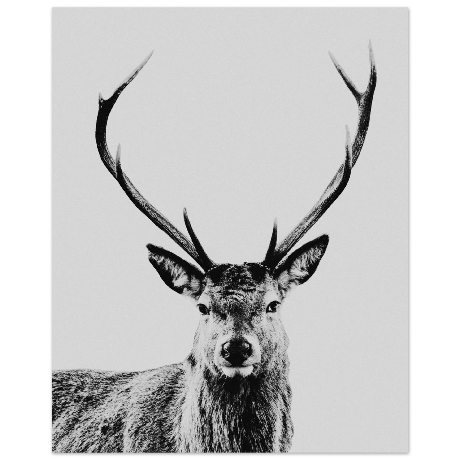 212faf26-12fa-4a05-b067-5c509d88b5fe