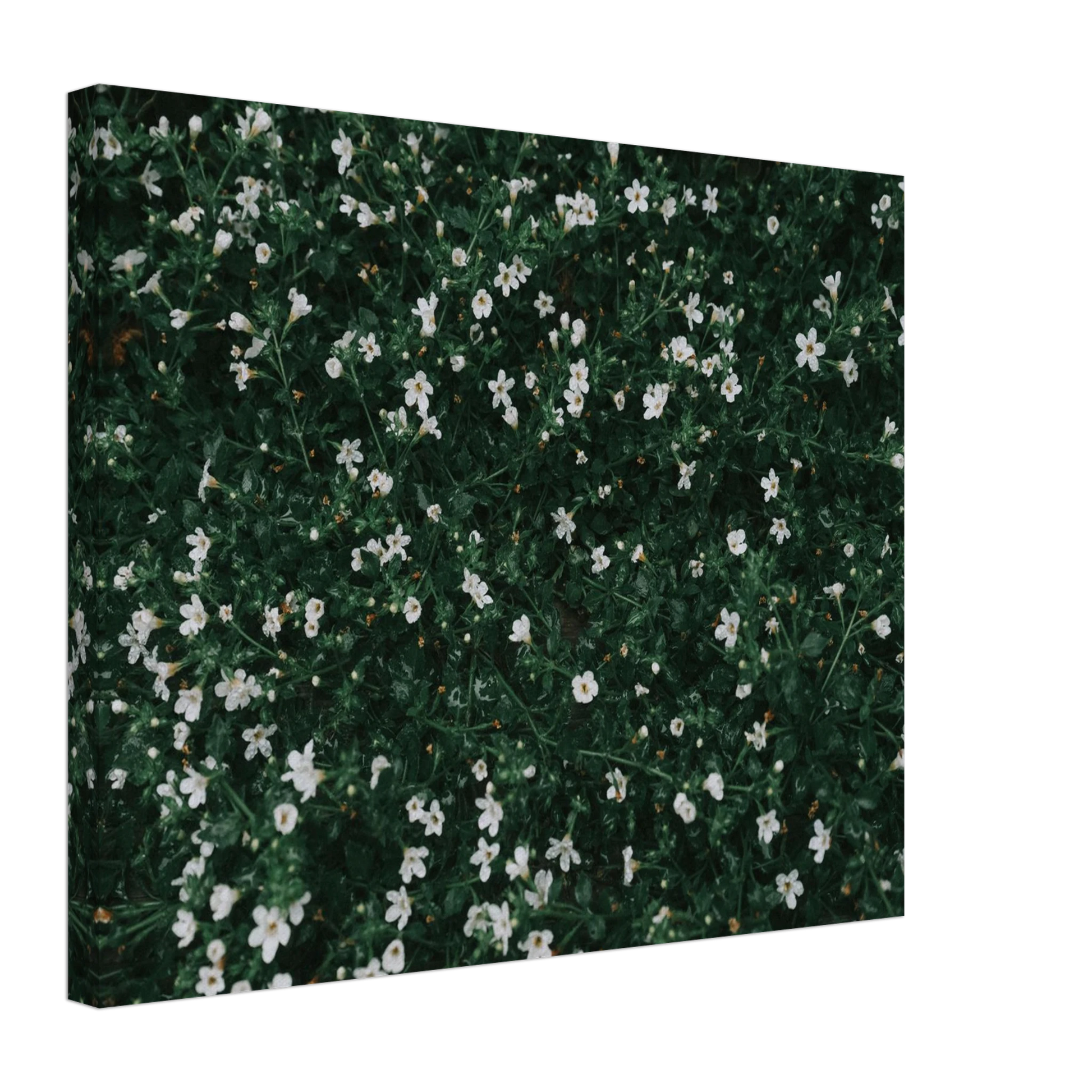 21449670-6d6a-473c-8f4e-53cff93509a2