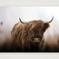 1588 — A3 (42×30cm, 17×12") Print only