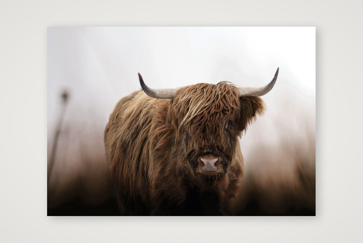 1588 — A3 (42×30cm, 17×12") Print only