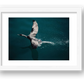 1284 — framed