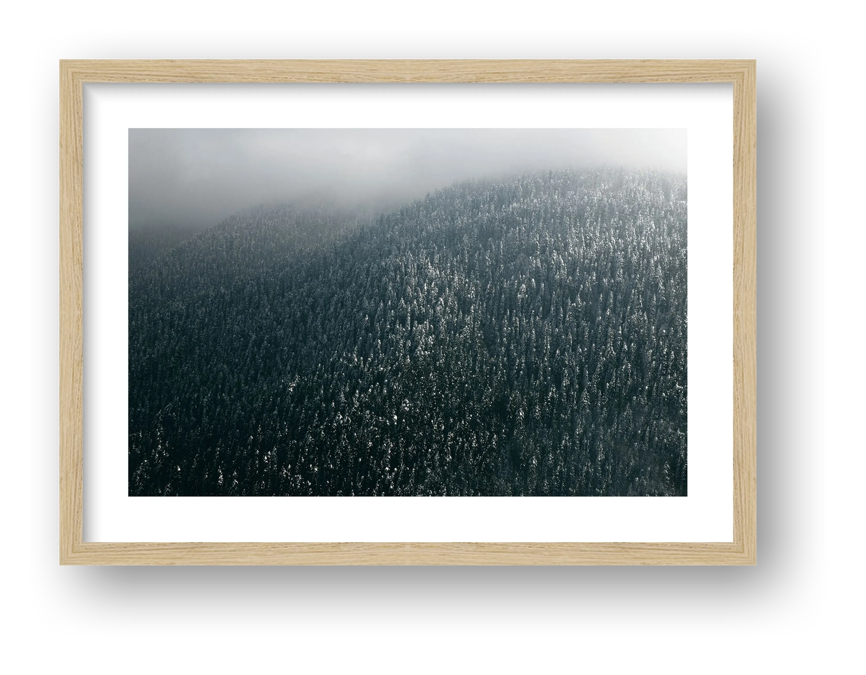 13 — framed