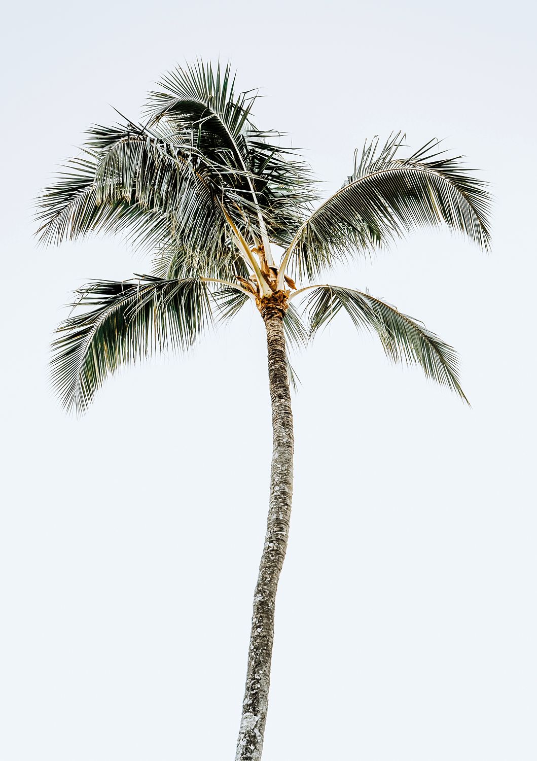 717