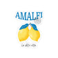 Lemon Sticker Gift For Fruit Lover Citrus Art Decal Present For Summer Fan Unique Aesthetic Item For Her Design Idea Accessory Item Idea