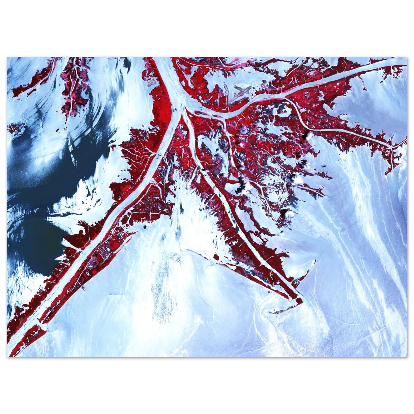 26545b93-e032-4c11-9140-094679fa289c