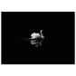 26c24abf-3759-4a71-8334-08c212bedfa8