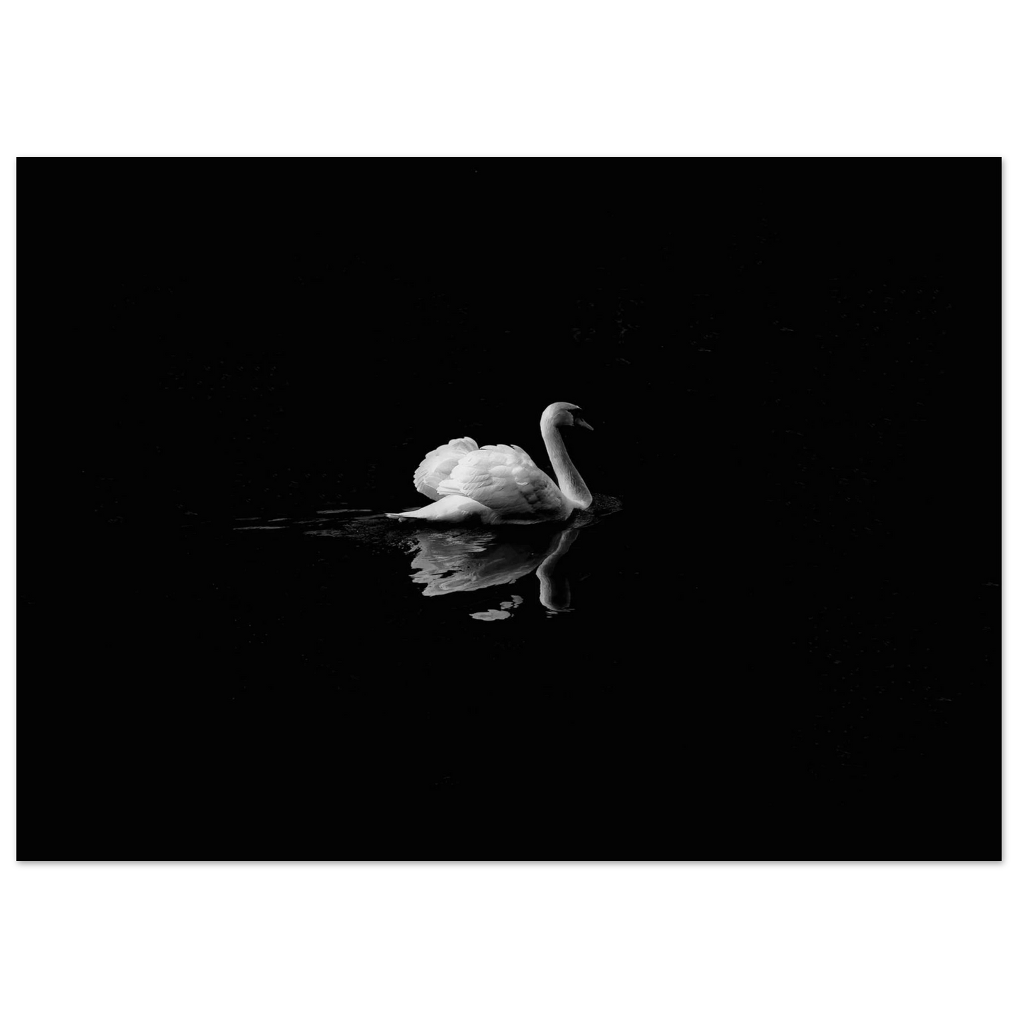 26c24abf-3759-4a71-8334-08c212bedfa8