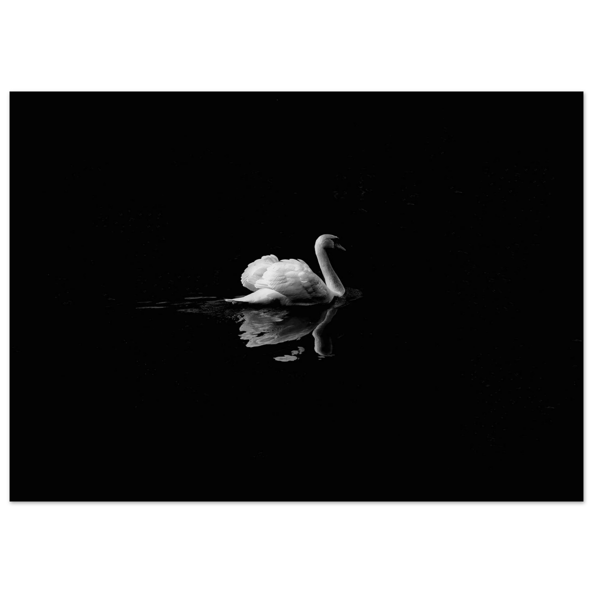 26c24abf-3759-4a71-8334-08c212bedfa8