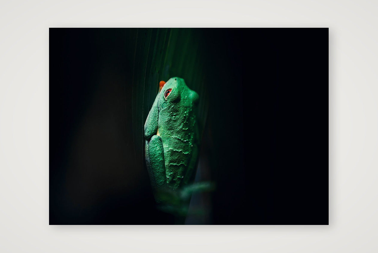 498 — A3 (42×30cm, 17×12") Print only