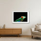 44 — 84×59cm, 33×23" White Frame