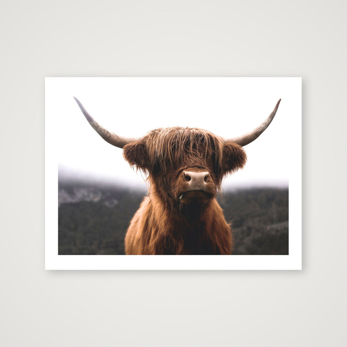 61 — 80×60cm, 31×24" Print only