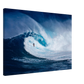 2a11ef76-fe08-485e-9ada-e4c180230ff8