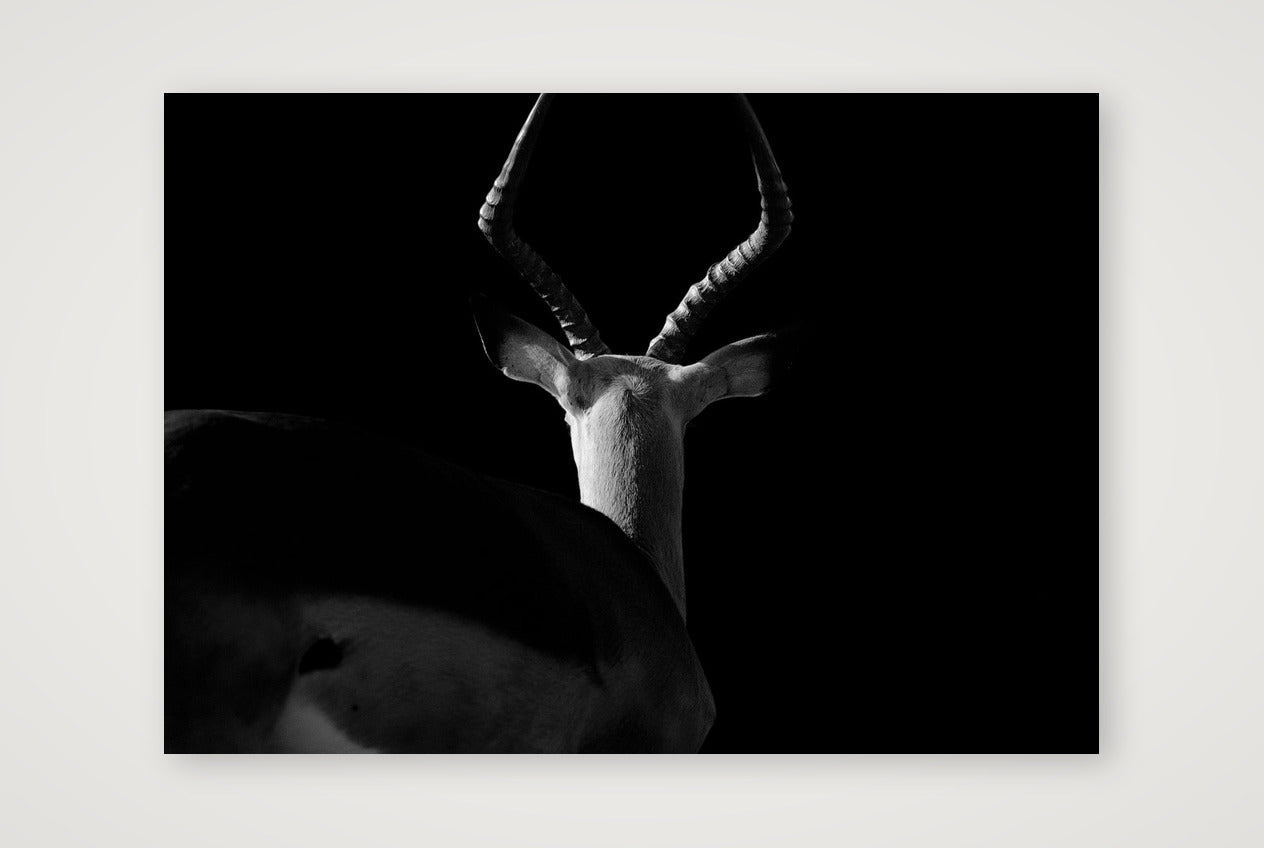 121 — A4 (30×21cm, 12×8") Print only
