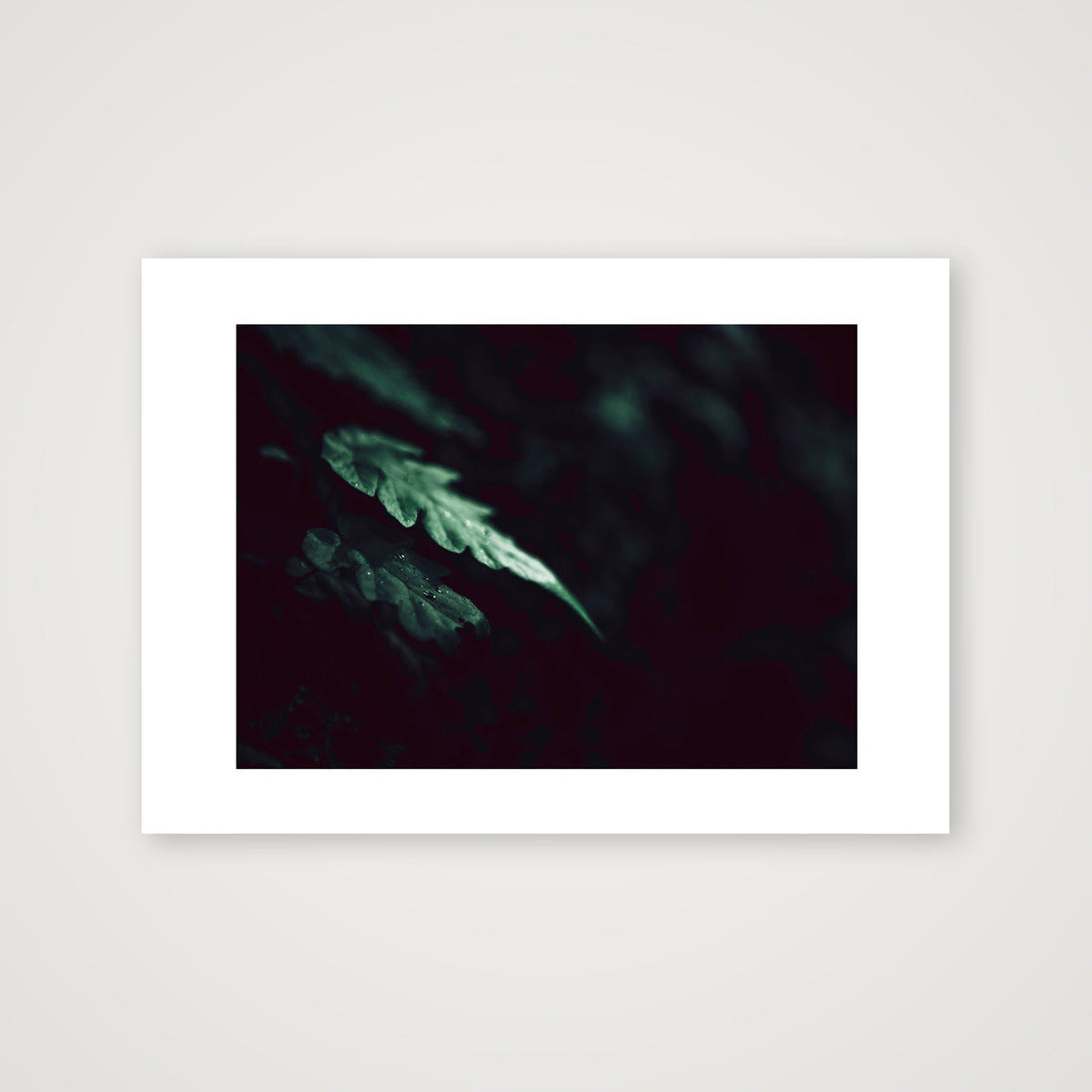 1128 — 59×42cm, 23×17" Print only