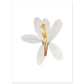 2ab61ca1-6fa7-4f86-88b0-5c1da87ebdac